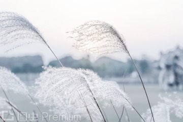 20161223003