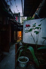 20130514，画，大田路。1000.jpg