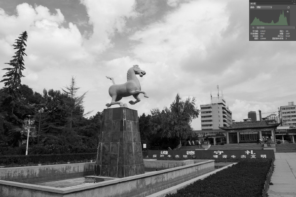 1普通黑白2 429332217.jpg