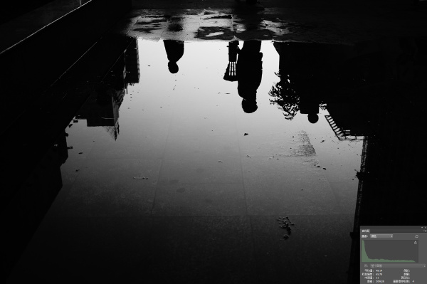 2高反差黑白2 429332220.jpg