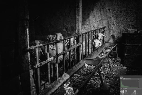 6高细节度黑白1 429332228.jpg