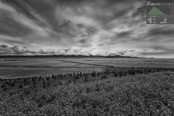 6高细节度黑白2 429332230.jpg