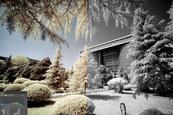 7红外黑白1 429332232.jpg