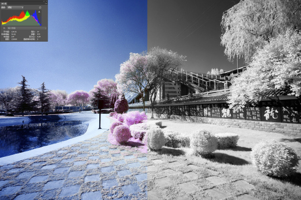 7红外黑白2 429332233.jpg