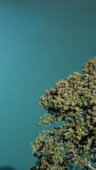 1B933541-9151-4B60-BBFD-FFDA90F50804/L0/001