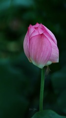 E72D376F-9EA0-4DBF-9F4B-CD06737285F2/L0/001