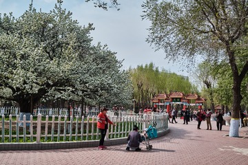 916564