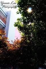 阳光依旧，岁月静好
