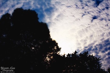 我只是习惯性的按下快门来记录我抬头看天所淡忘的时间.