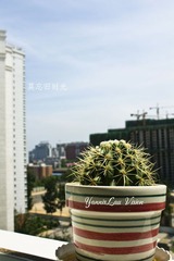 莫忘旧时光