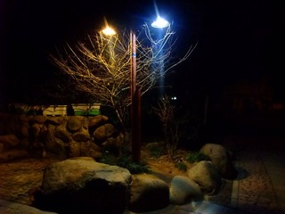 DSCF6424_副本.jpg