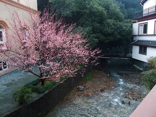 DSCF6561_副本.jpg