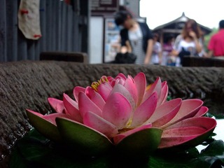 DSCF7161 - 副本.JPG