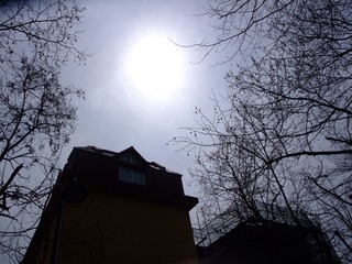 DSCF1620.JPG