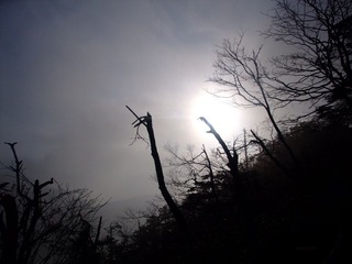 DSCF3974 - 副本.JPG