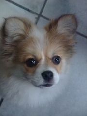 DSCF5781.JPG