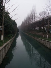 DSCF6802.JPG
