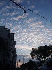 DSCF6907.JPG