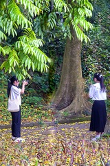 150862