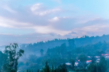 139735