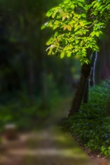 153025