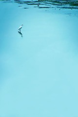 131232