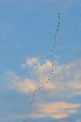 176714