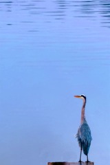 139221
