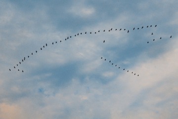 176708