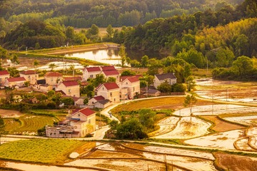 夕照云上梯田4