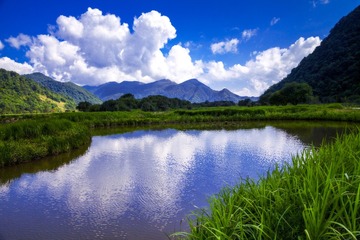 神农架大九湖风光