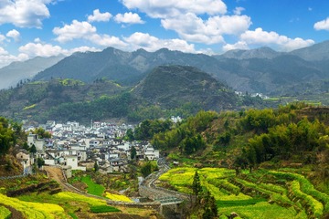春到山村