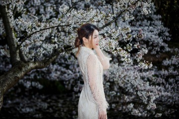 樱花树下
