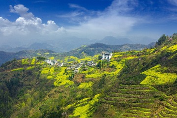 春到石潭5