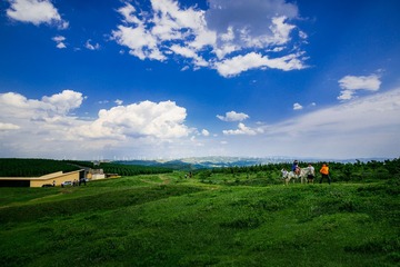 张北草原天路风光4
