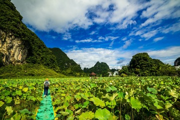 鹅泉田园风光