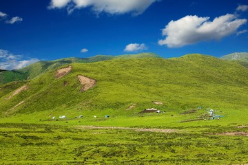 甘南桑科草原