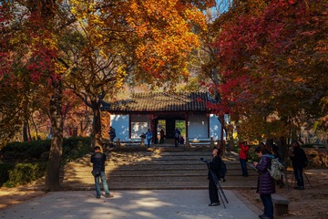 秋色撩人