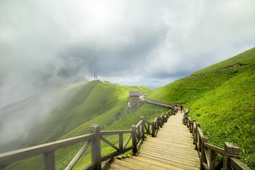 挑山工
