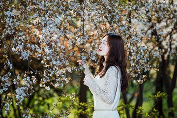 樱花开时