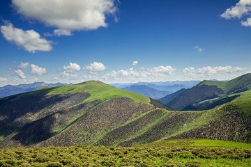 里塘草原风光