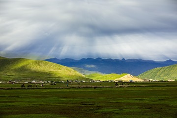 纳帕海依拉草原风光