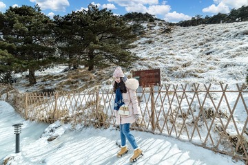 踏雪黄山
