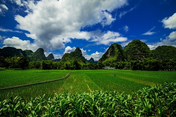 明仕田园风光