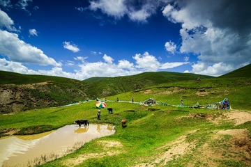 长青春科尔寺后山自然风光