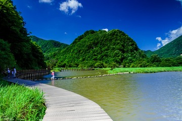 神农架大九湖风光5