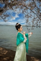樱花仙子