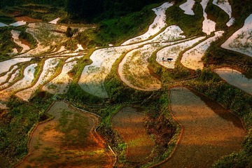 云和梯田风光