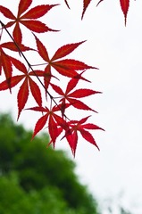 _IGP1519.jpg