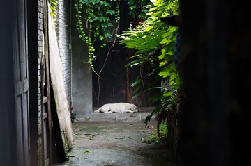 守门